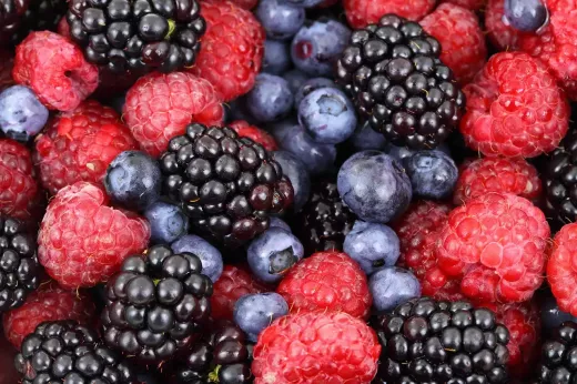 Eating for Two: A Guide to Healthy Pregnancy Meal Planning