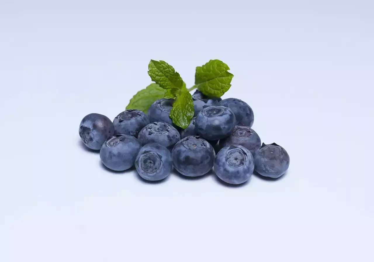6 Superfoods to Boost Your Pregnancy Diet